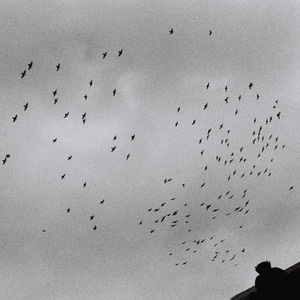 效率素材小鹤导航
