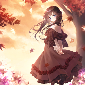 效率素材小鹤导航
