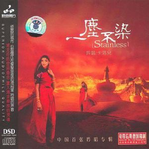 效率素材小鹤导航
